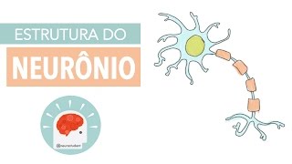 Sistema Nervoso Estrutura do Neurônio  Anatomia e etc [upl. by Ardnazil750]