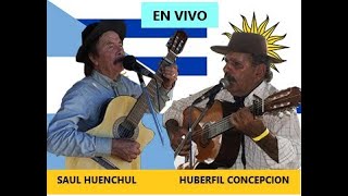 Payada Saul Huenchul y Uberfil Concepcion [upl. by Ahsaz]