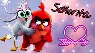 The Angry Birds Movie 2  Redilver AMV  Señorita [upl. by Thetis]