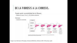 Hepatopatía crónica [upl. by Bullion]