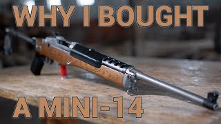 Why I Bought a Ruger Mini14 Ranch Rifle [upl. by Sverre]