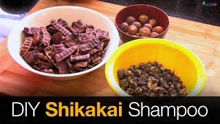 DIY Shikakai Shampoo Preparation  100 Natural Shampoo  Home Made Herbal Shampoo [upl. by Cassiani987]