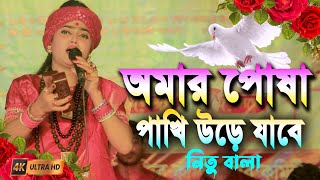 অমার পোষা পাখি উড়ে যাবে  বাউল শিল্পী নিতু বালা  Nitu Bala Baul Song 2024 [upl. by Koziarz]