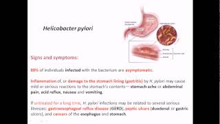 Helicobacter pylori signs and symptoms [upl. by Buehler915]