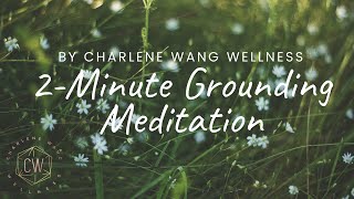 2 Minute Guided Meditation for Grounding [upl. by Jerrine58]