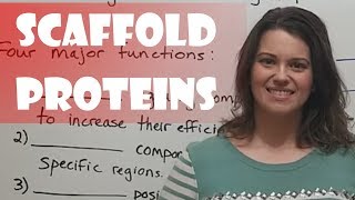 Scaffold Proteins [upl. by Enwahs311]