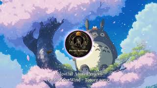 Path of the Wind from Totoro [upl. by Adnohrahs77]