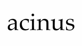 How to Pronounce acinus [upl. by Sotnas]