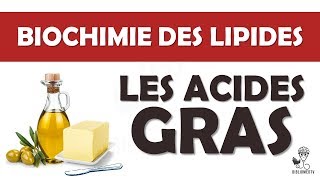 Biochimie des Lipides  les Acides Gras [upl. by Elatnahc]