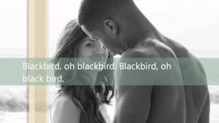 Blackbird Lyrics  Beyond the Lights [upl. by Lrigybab]