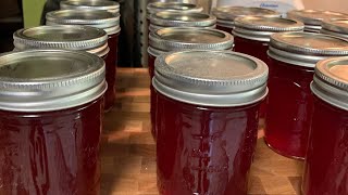 OLD SCHOOL HOMEMADE PLUM JELLY MADE FROM MY IMPERFECT FOODS HAUL [upl. by Labannah710]