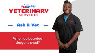 Understanding Bearded Dragon Shedding Tips for a Smooth Process From PetSmart Veterinary Services [upl. by Il883]