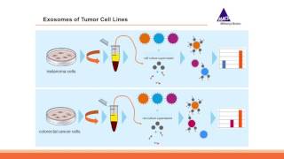 Webinar Exosome Analysis Using a Multiplex BeadBased Flow Cytometry Assay [upl. by Justinn]