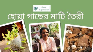 হোয়া গাছের যত্ন  ৩  মাটি তৈরী  Hoya Soil Mix In Bengali [upl. by Inajna10]