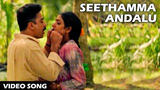 Malaiyoram Veesum Kaathu Video Song  Paadu Nilaave Tamil Movie Songs  Mohan  Nadiya  SPB [upl. by Cordeelia474]