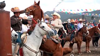 Caballos RAJADOS  Diablos FUERA [upl. by Anim147]