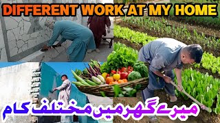 Sabzeea kaise ugaye ghar par  how togrowVagetable at home  میرے گھر میں مختلف کام [upl. by Maggie]