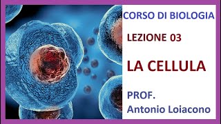 CORSO DI BIOLOGIA  Lezione 03  La Cellula [upl. by Cimah112]