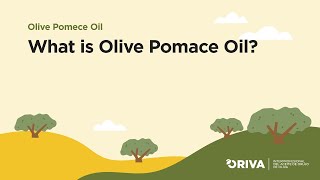 What is Olive Pomace Oil [upl. by Pallas833]