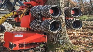 Powerful Machine Surprises Even Foresters  Fastest Big Chainsaw Cutting Tree Machines Skills [upl. by Fitzpatrick]