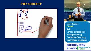 Cardiopulmonary Bypass Circuit [upl. by Angelica]