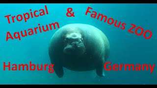 Tropen Aquarium amp Zoo Hagenbeck Hamburg [upl. by Mclain]