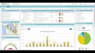 NetSuite Sales Rep Dashboard Demo [upl. by Recneps]