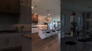 Open Floor Plan  Open Space Concept  Open Kitchen  Interior Design  Decorating Ideas [upl. by Catina]