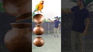 Rounding clay matka to Duck Peacock Pigeon amp Parrot  Birds names magic video [upl. by Yssirc573]