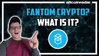 What is Fantom Crypto Fantom Crypto for Absolute Beginners [upl. by Elvie]