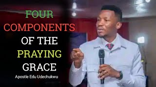 FOUR COMPONENTS OF THE PRAYING GRACE APOSTLE EDU UDECHUKWU [upl. by Candy93]