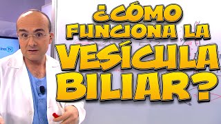 VESÍCULA BILIAR ¿cómo funciona  Cuerpo Humano 08 [upl. by Aratahc]