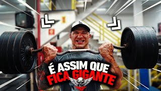 COMO ULTRAPASSAR OS 50 CM DE BRAÇO  TREINO RAPIDO E INTENSO Fabio Giga [upl. by Noval430]