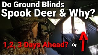 Ground Blind Hunting For Whitetail Deer [upl. by Ynneb991]