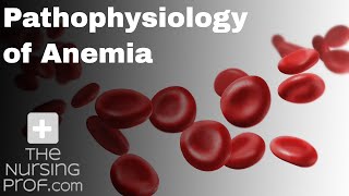 Pathophysiology of Anemia [upl. by Marra777]