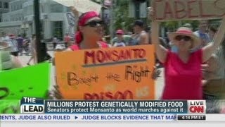 Millions protest genetically modified food [upl. by Tobiah]