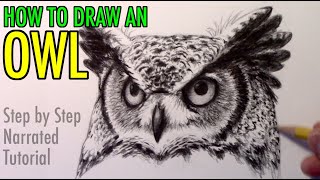 How to Draw an Owl Narrated StepbyStep Tutorial [upl. by Gregson946]