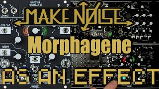 Make Noise Morphagene as an Effect Tutorial  Eurorack [upl. by Ard]