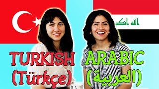 Similarities Between Turkish and Arabic [upl. by Haimaj781]