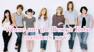 Where are the Berryz Kobo members now [upl. by Enaols689]