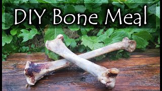 How To Make Bone Meal [upl. by Andonis]