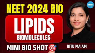 LIPIDS Biomolecules Class 11 Bio Mini Shot  NEET 2024 Biology  Ritu Rattewal [upl. by Aihsined362]