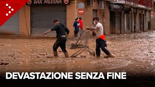 Alluvione Valencia scritte contro i politici La devastazione a Catarroja [upl. by Imer]