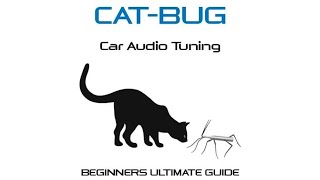 CATBUG tuning guide [upl. by Sadowski22]