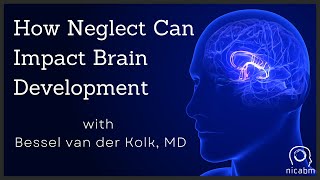 How Neglect Can Impact Brain Development – with Bessel van der Kolk MD [upl. by Bithia709]