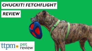 Chuckit Fetch Flight from Petmate [upl. by Bittencourt735]