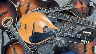 Explore the Mandolin Family Mandola Octave Mandolin Mandocello Tenor Guitar Bouzouki Etc [upl. by Ariaek518]