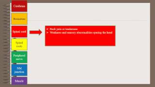 Localization In Neurology [upl. by Gnoht]