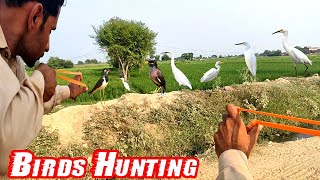 Best Birds Hunting With Handmade Slingshot [upl. by Saffier673]