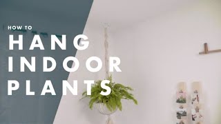 How To Hang Indoor Plants From the Ceiling  Bunnings Warehouse [upl. by Beedon115]